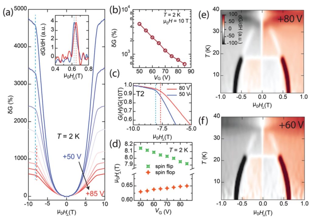 Gate-Controlled Magnetotransport and Electrostatic Modulation of ...
